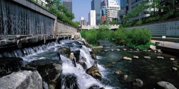 河道景觀設(shè)計(jì)秘籍：駁岸、親水、綠化、綜合治理、生態(tài)修復(fù)及植物選擇