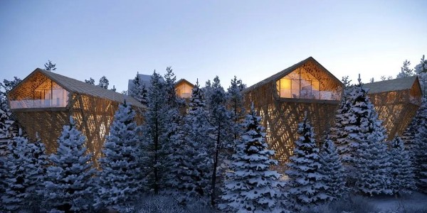 創(chuàng)新下的樹屋，太治愈了！