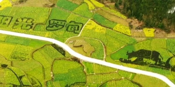 土地的涅槃｜全域土地綜合整治為何爆火？設(shè)計(jì)院如何搶占風(fēng)口？
