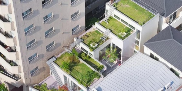 創(chuàng)造‘綠色’，東京層疊花園宅 / MAMM DESIGN