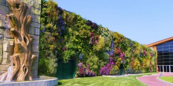 驚艷極了，還能這樣做綠化？